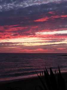Home Conil, een prachtig badplaatsje aan de Spaanse kust voor uw rondreis dromen door Spanje