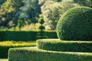 Home Luxe tuinontwerp met duurzame materialen en inheemse plantsoorten die bijdragen aan maatschappelijke verantwoordelijkheid